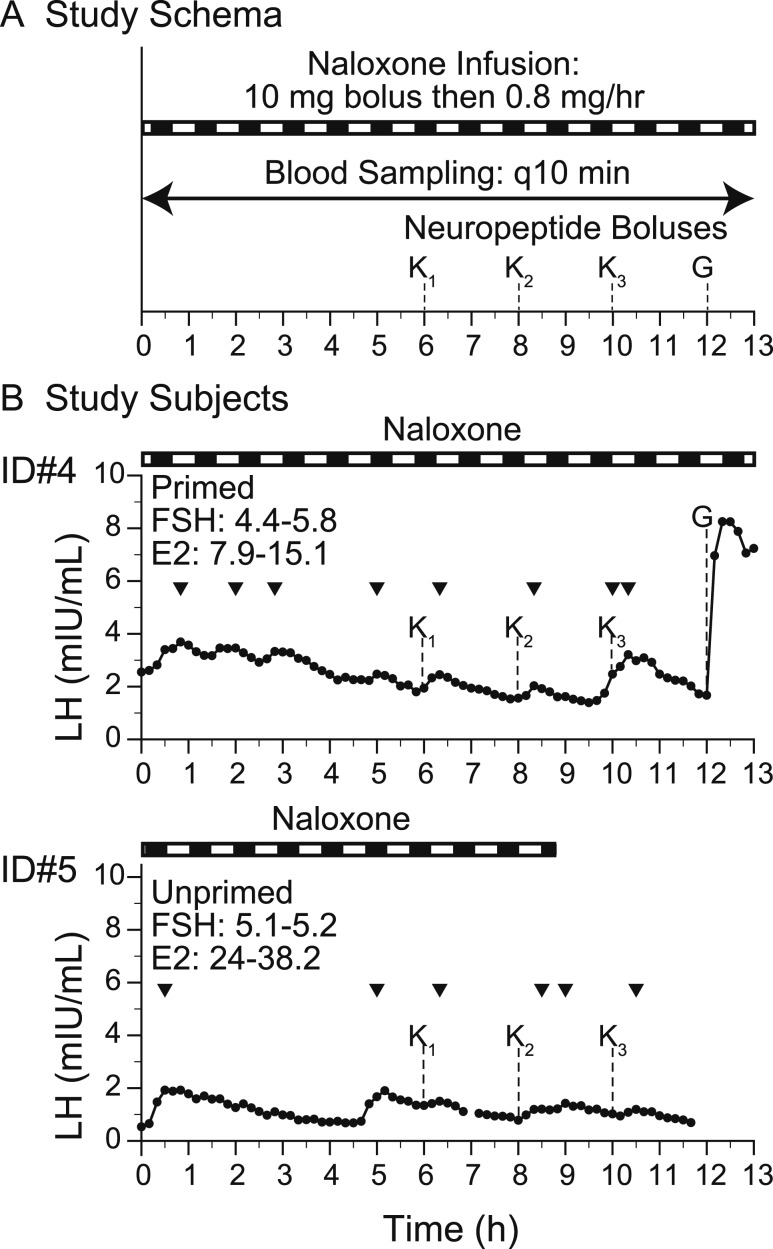 Figure 4.