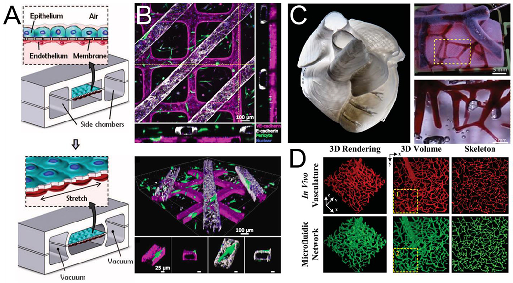 Fig. 3.