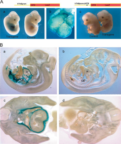 Figure 6.