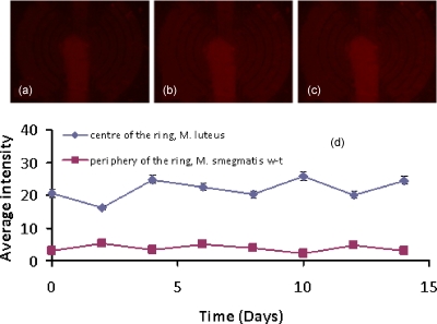 Figure 15