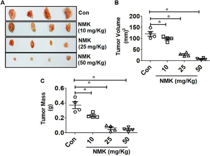 Figure 9.