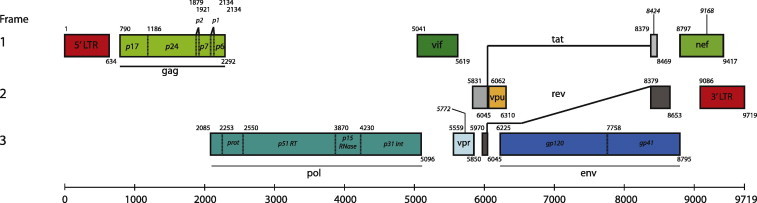 Fig. 2