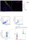 Extended Data Fig. 7
