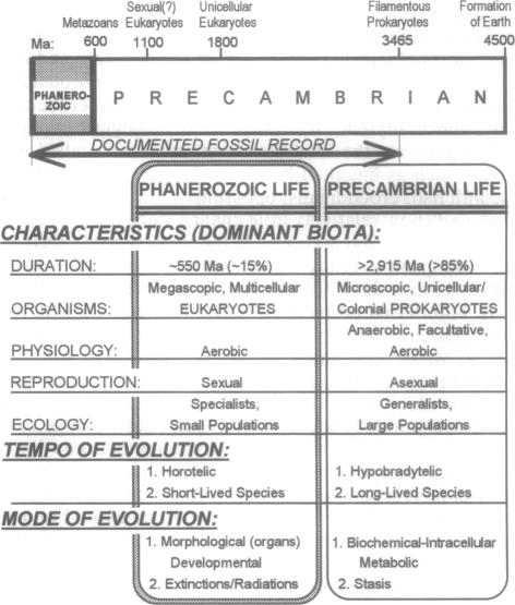 graphic file with name pnas01137-0029-a.jpg