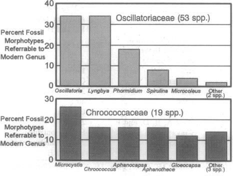 graphic file with name pnas01137-0033-a.jpg