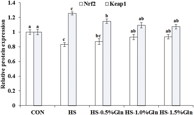 Figure 3