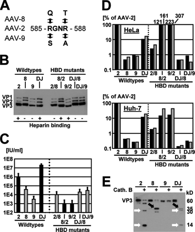 FIG. 6.