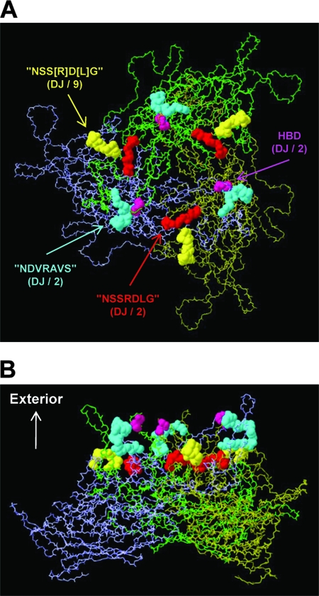 FIG. 12.