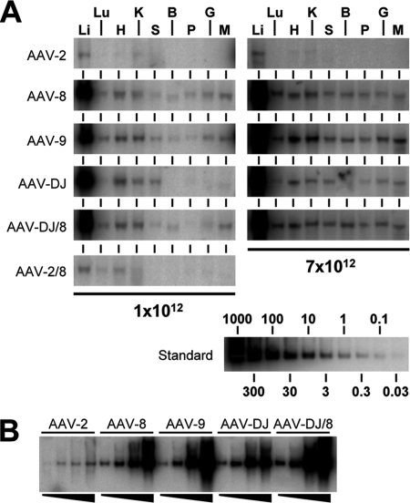 FIG. 8.