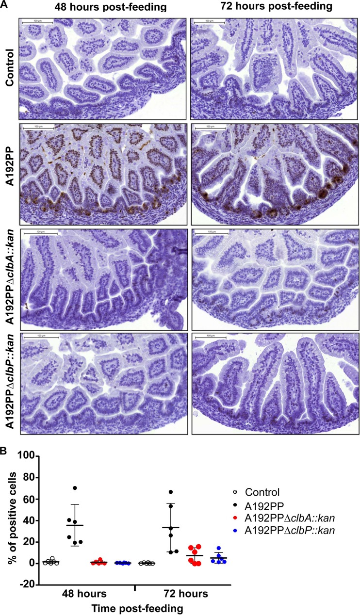 FIG 5