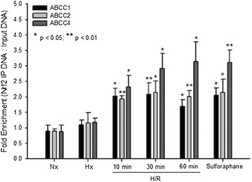 Fig. 4