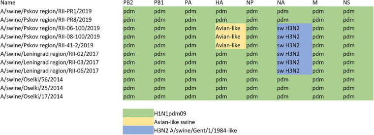 FIGURE 5