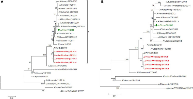 FIGURE 3