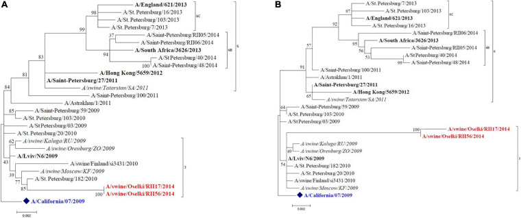 FIGURE 2