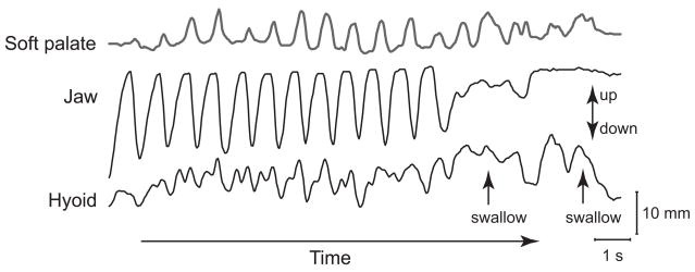 Fig. 2