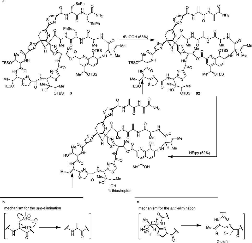 Figure 25