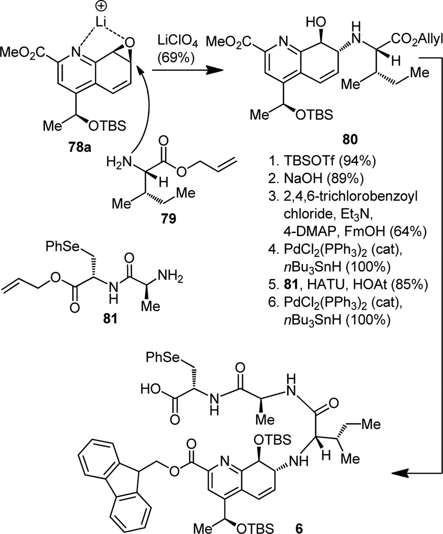 Figure 19