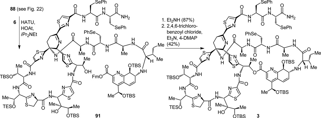 Figure 24