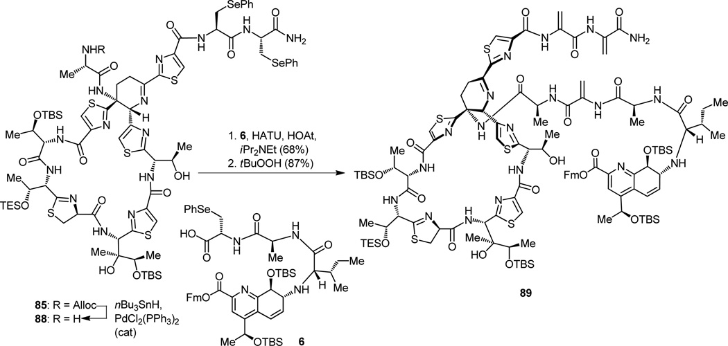 Figure 22