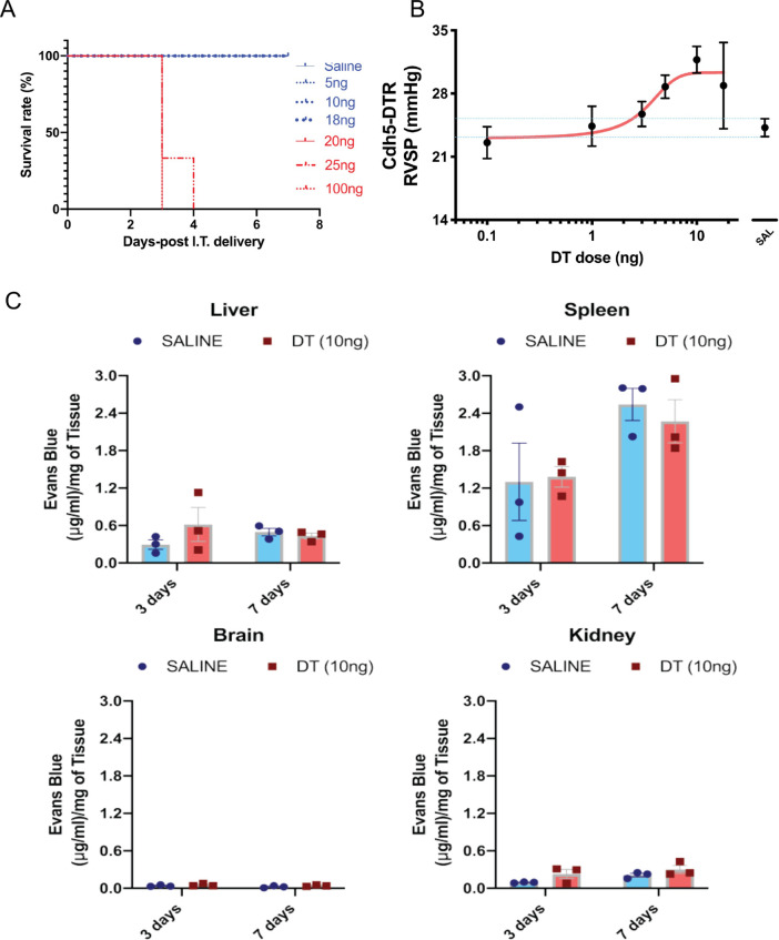 Figure 1—figure supplement 1.