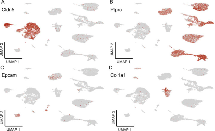 Figure 3—figure supplement 2.