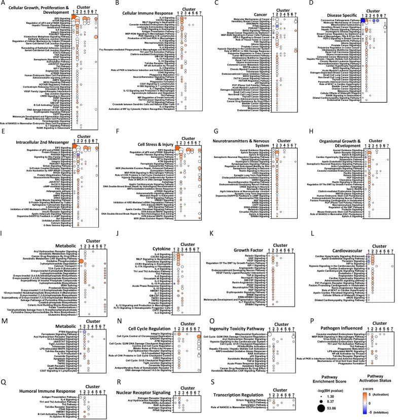 Figure 7—figure supplement 1.