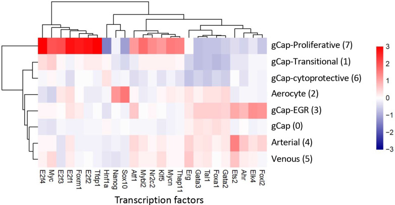 Figure 6—figure supplement 2.