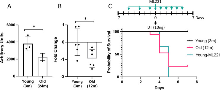 Figure 10.