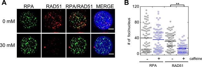 Figure 10.