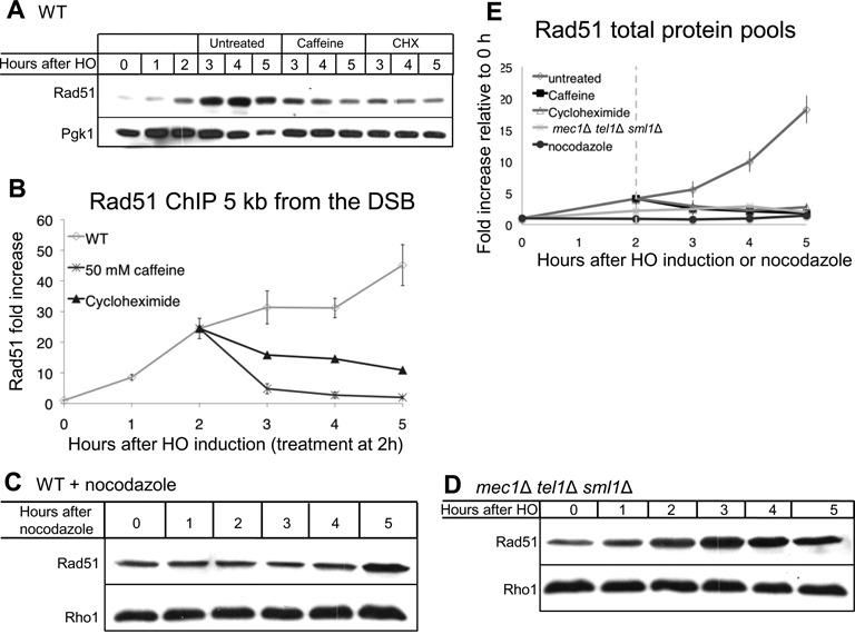 Figure 5.