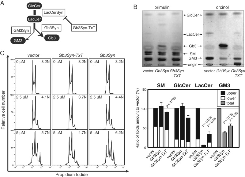 FIGURE 3: