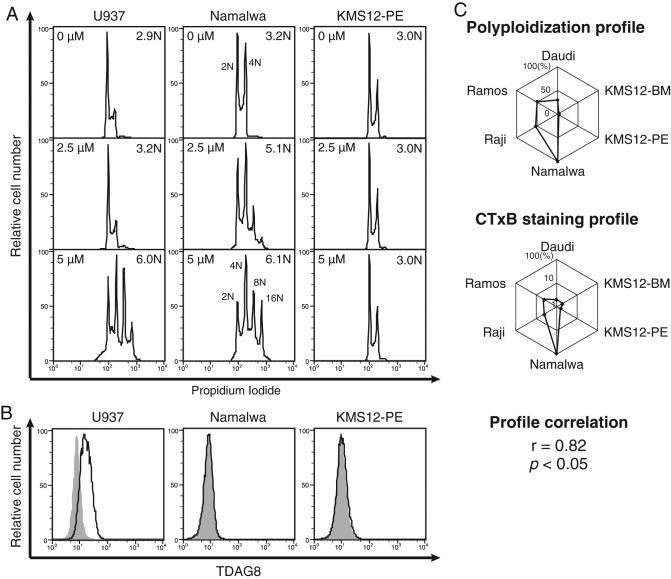 FIGURE 1: