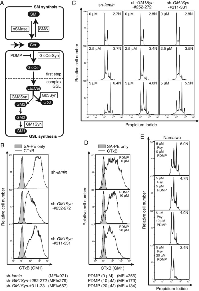 FIGURE 2: