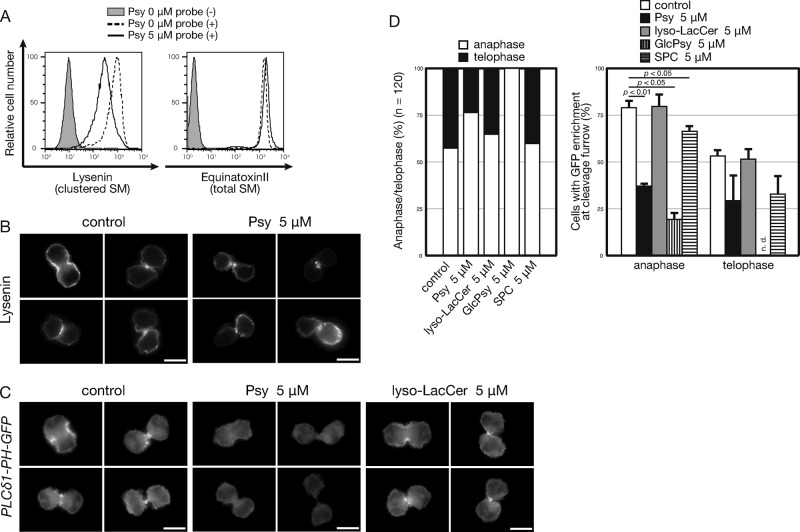 FIGURE 6: