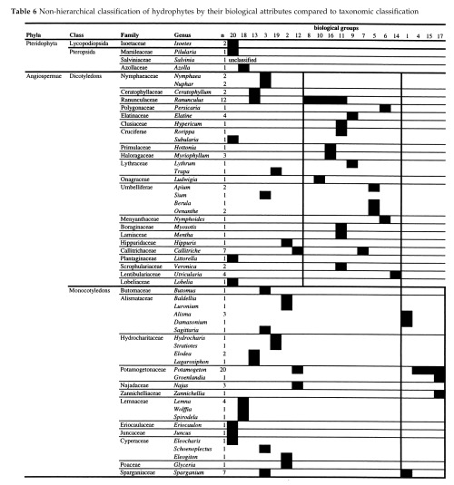 graphic file with name FWB-43-43-g017.jpg