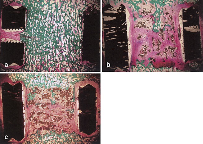 Fig. 2a–c