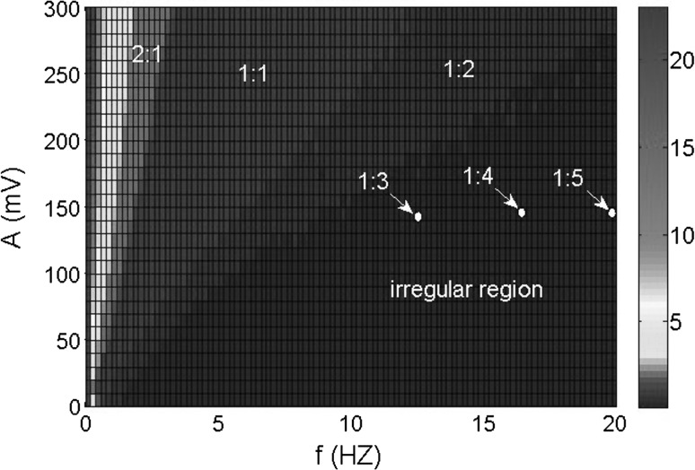 Fig. 16