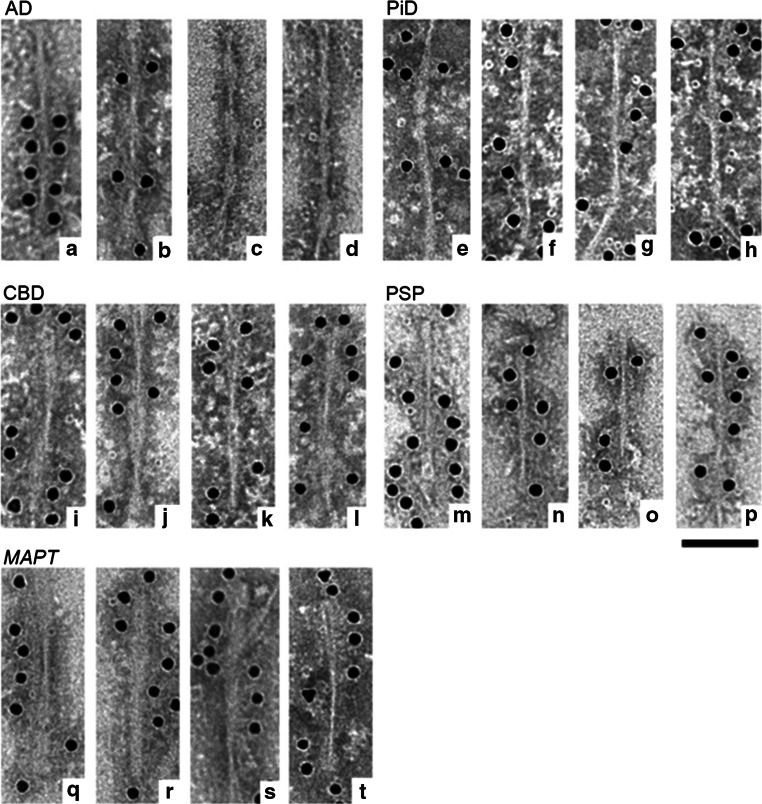 Fig. 6