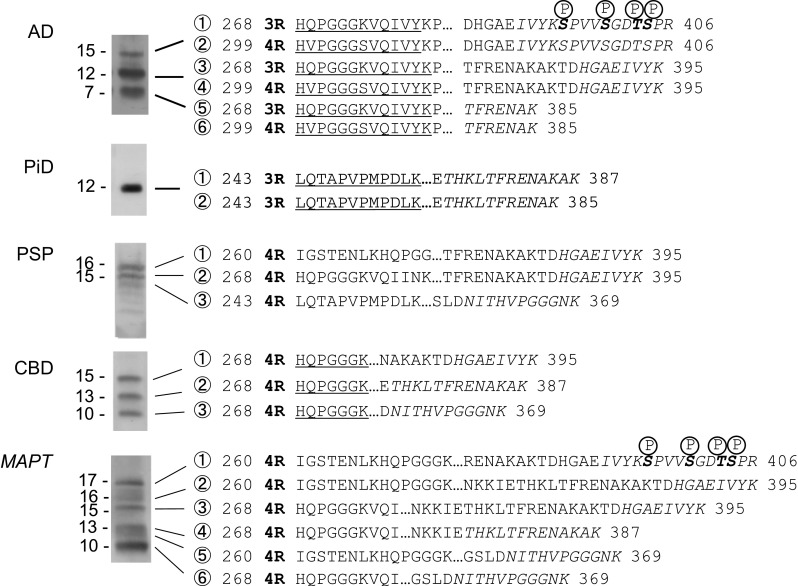 Fig. 4