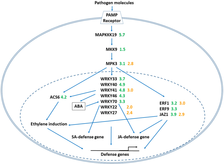 Figure 5