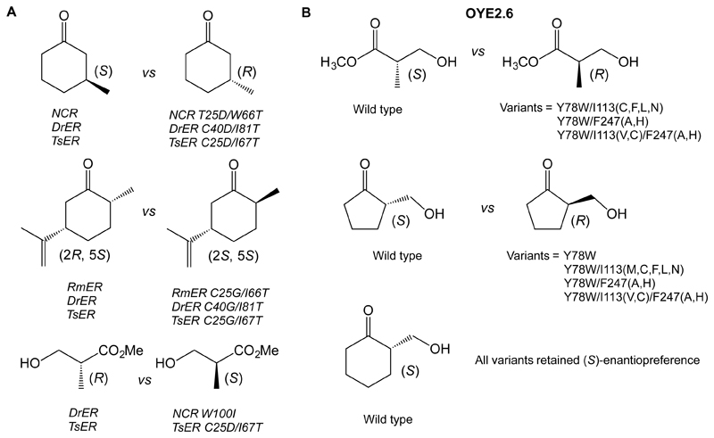 Scheme 5