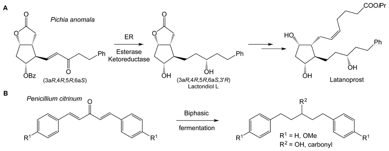 Scheme 3