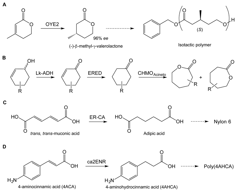 Scheme 4