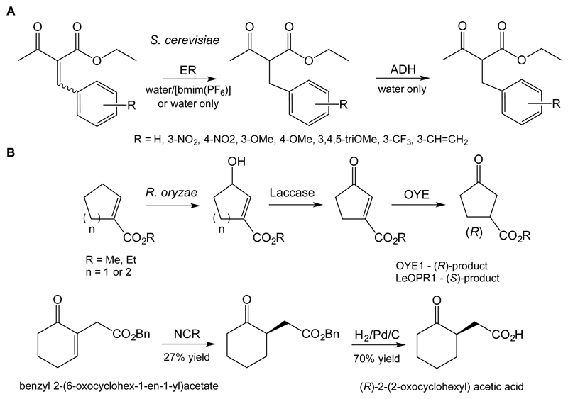 Scheme 2