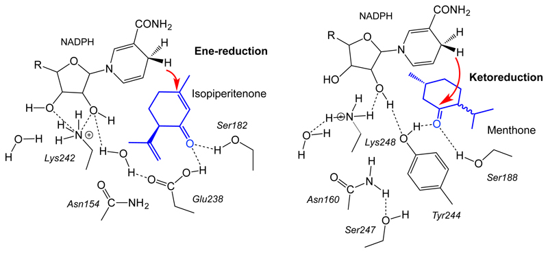 Scheme 11