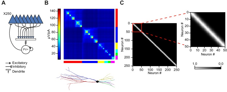 Figure 5—figure supplement 1.