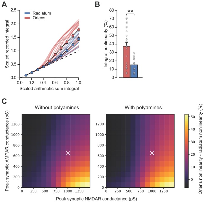 Figure 3—figure supplement 1.