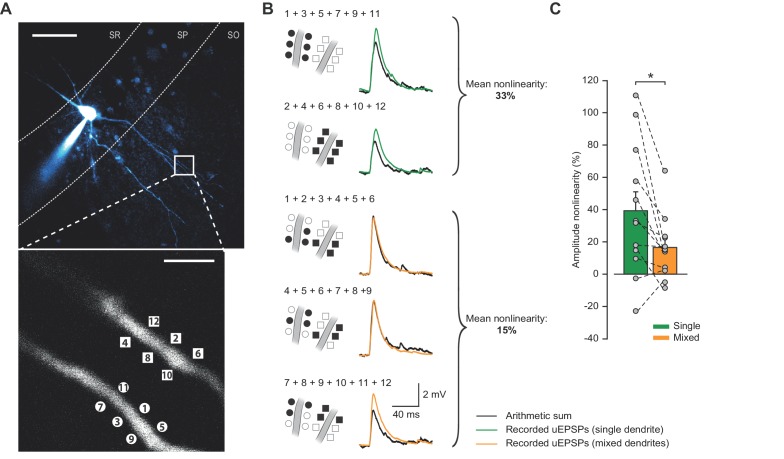 Figure 1—figure supplement 5.