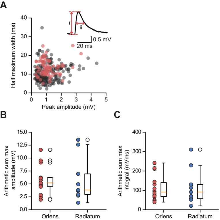 Figure 1—figure supplement 1.