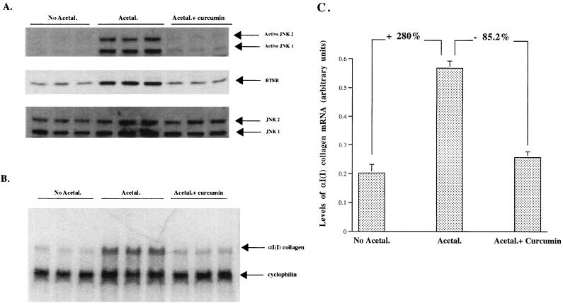 FIG. 7